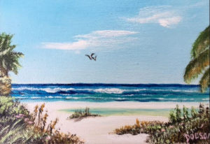 Private Collection Of: Dawn Colella New Jersey "Siesta Key" #138516 - $60 5x7