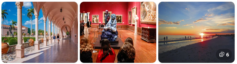 Why Sarasota Florida Is the perfect backdrop for art