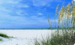 Siesta Key white sand beach with sea oats