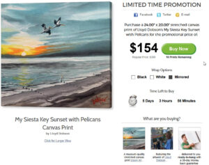 My Siesta Key Sunset With Pelicans Limited Time Promotional print by Lloyd Dobson Artist